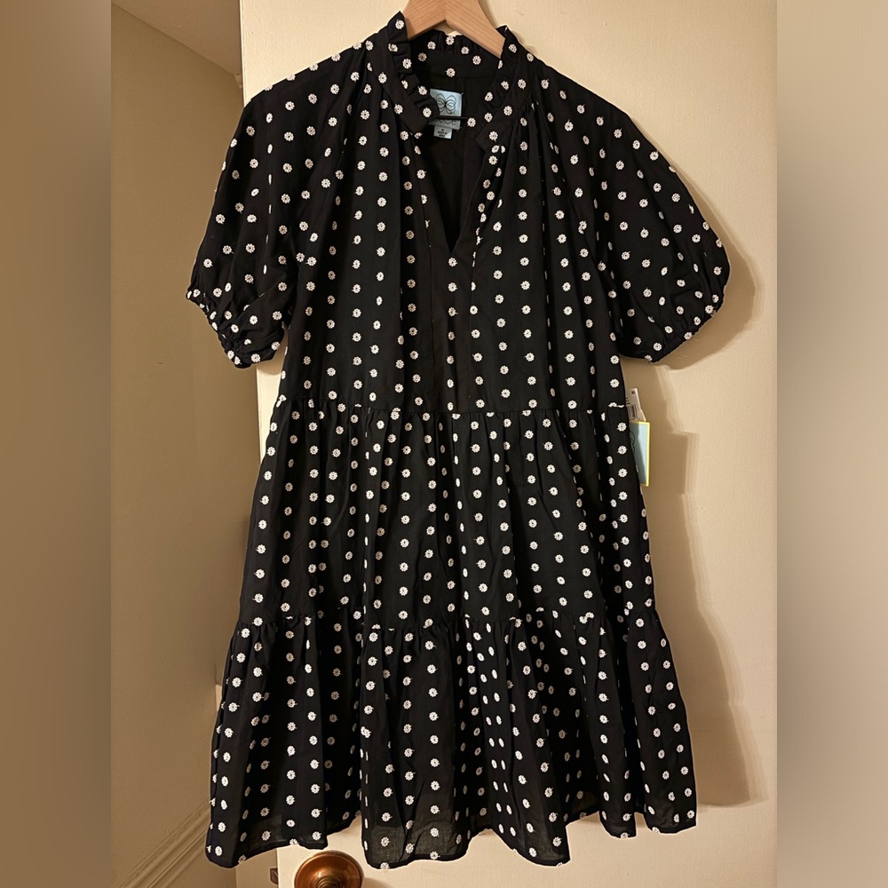 Cece babydoll dress (Medium)